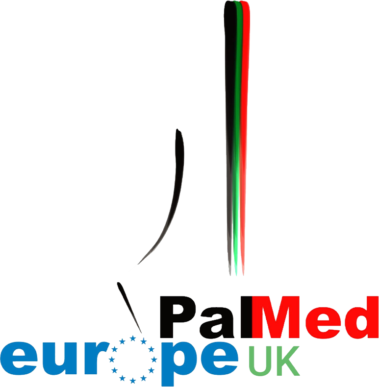 Logo: PalMed