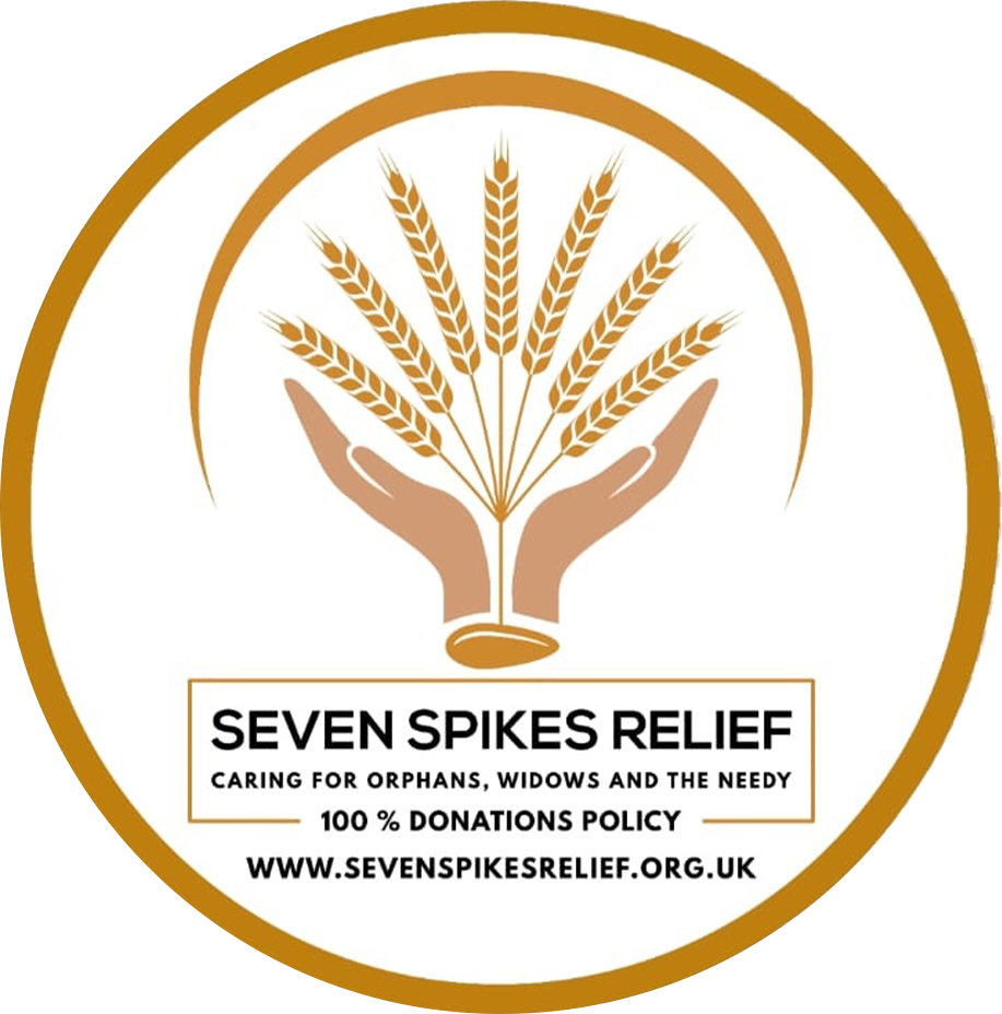 Logo: Seven Spikes